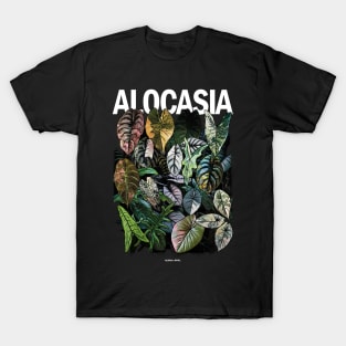 ALOCASIA JUNGLE Variegated T-Shirt